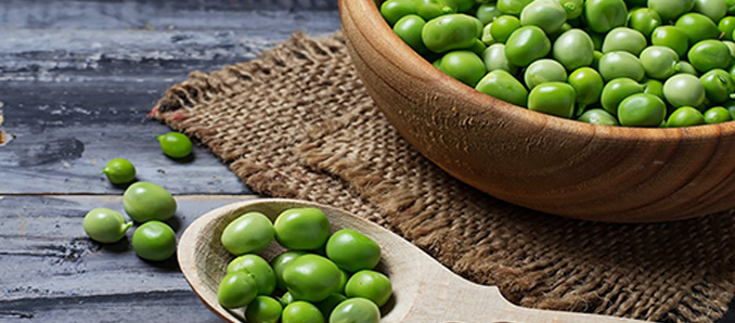 Vegetable Food Products