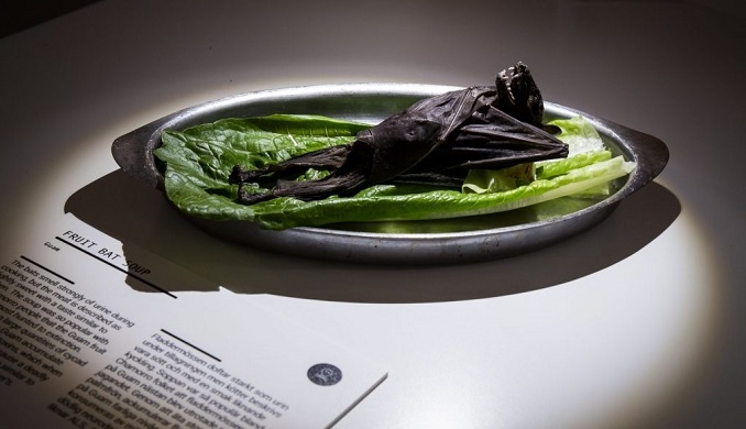 Disgusting Food Museum Release