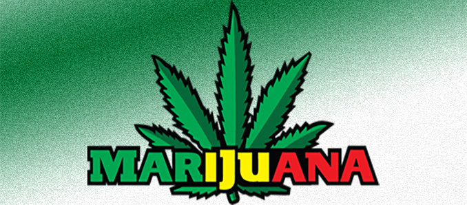 5 Factors That Determine How Marijuana long stays in Your System