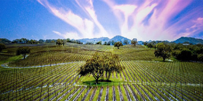 Resilient Sonoma County: Gather in Sonoma