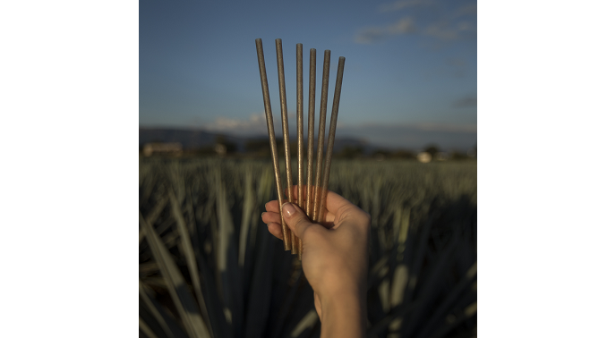 Jose Cuervo Unveils Sustainable Straw Alternative