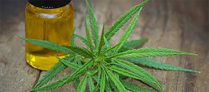 How Long Are the Effects of CBD on the Body?