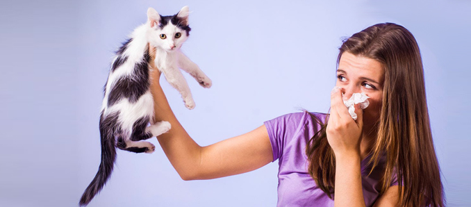 How To Live With Your Pets If You're Suffering From Asthma
