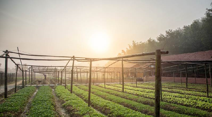 Plating up Sustainability in Asia