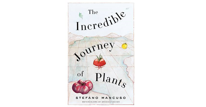 INCREDIBLE JOURNEY OF PLANTS (*NEW on-sale*: 3/24/20)