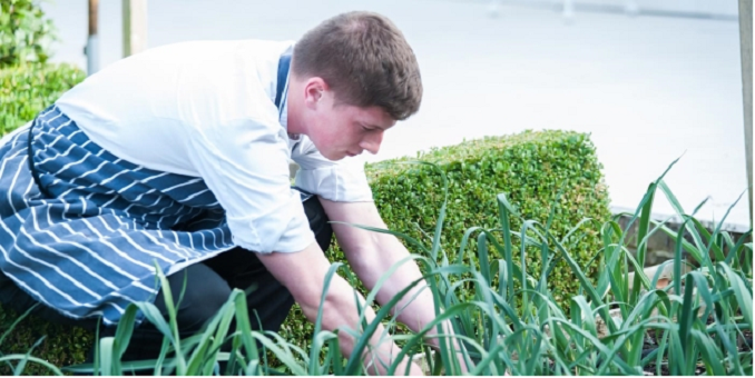 Tips on Growing Your Own Seasonal Garden by Hotel Executive Chef