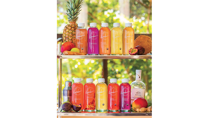 VALLEY ISLE KOMBUCHA, HAWAII’S PREMIUM KOMBUCHA, NOW SHIPPING NATIONWIDE