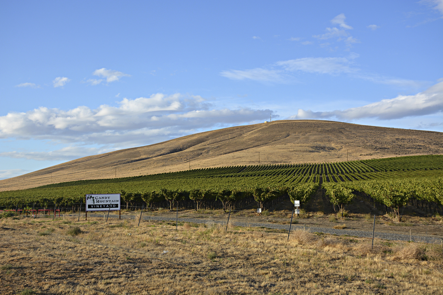 Candy Mountain Becomes Washington’s 16th American Viticultural Area