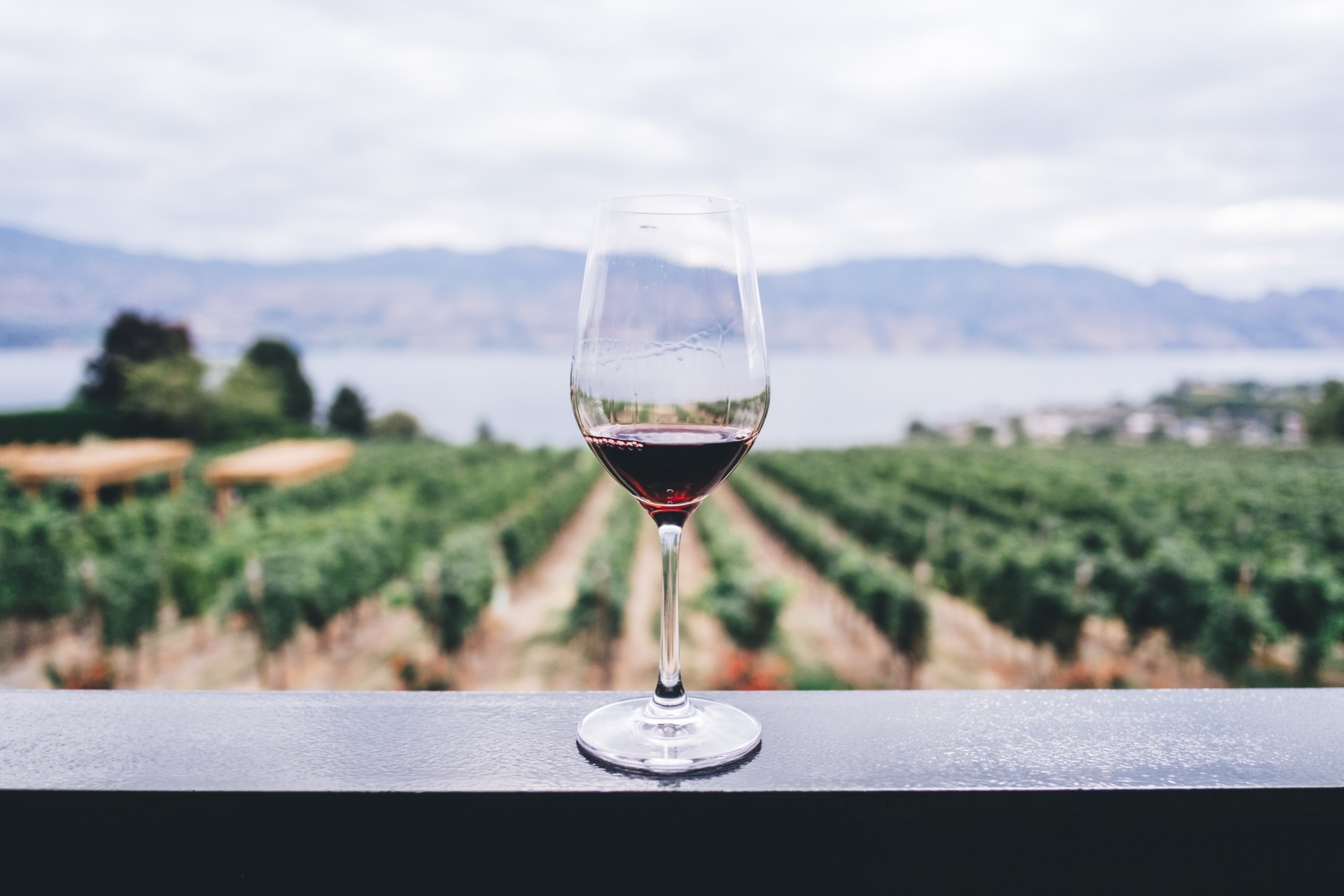 Charge with Grand Reserve World Mastercard during the holidays to earn points for wine