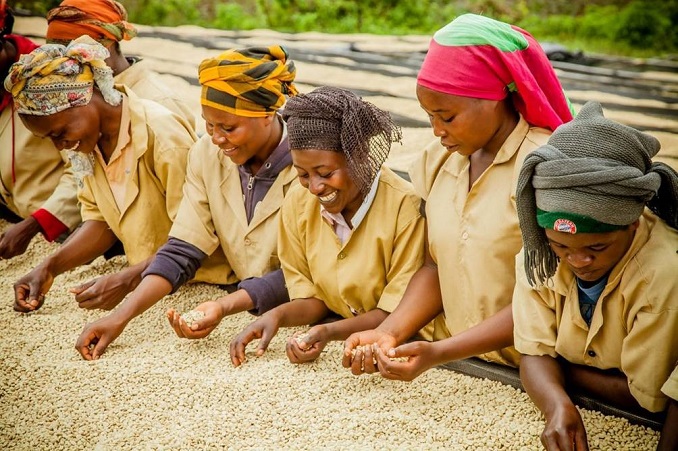 farmer connect® lands $9 million Series A funding round to fuel mission to make agriculture supply chains sustainable