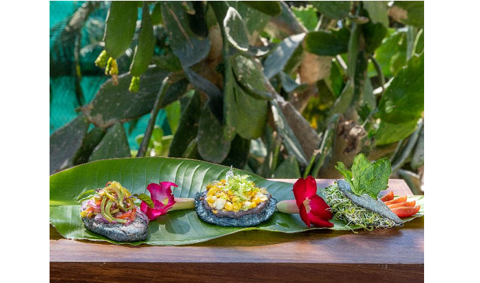 New Healthy Antojitos, Mexican Savory Bites, Cooking Class at Casa Velas in Puerto Vallarta