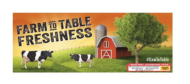 New Cheese Products and New Recipes from Andrew & Everett