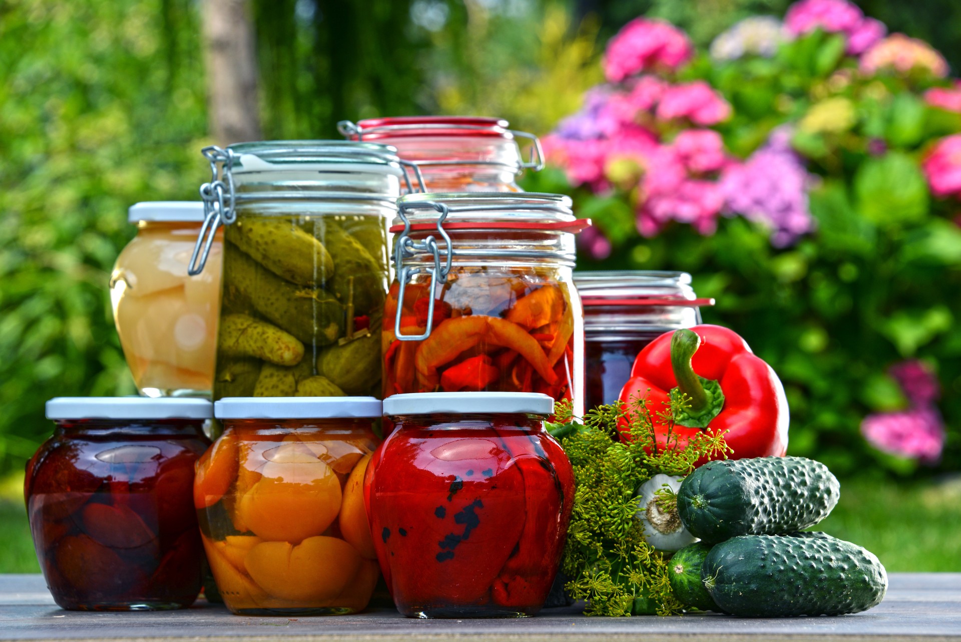 Vegetables _ Fruits