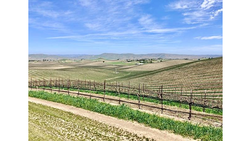 THE DUCKHORN PORTFOLIO ACQUIRES 265-ACRE CABERNET SAUVIGNON VINEYARD IN PASO ROBLES, CALIFORNIA