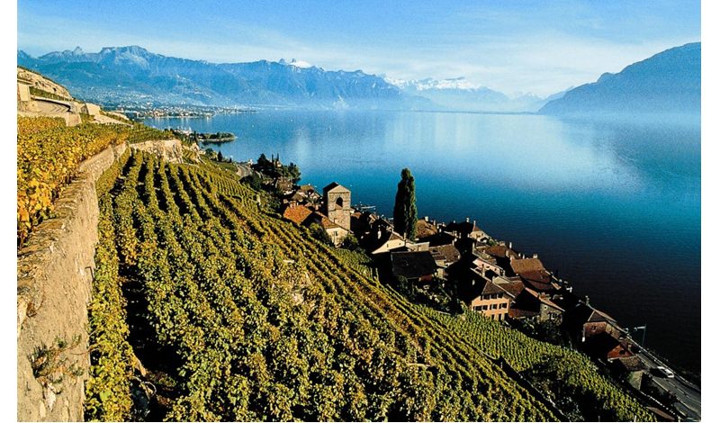 LAUSANNE WILL HOST THE ANNUAL MEETING OF GREAT WINE CAPITALS