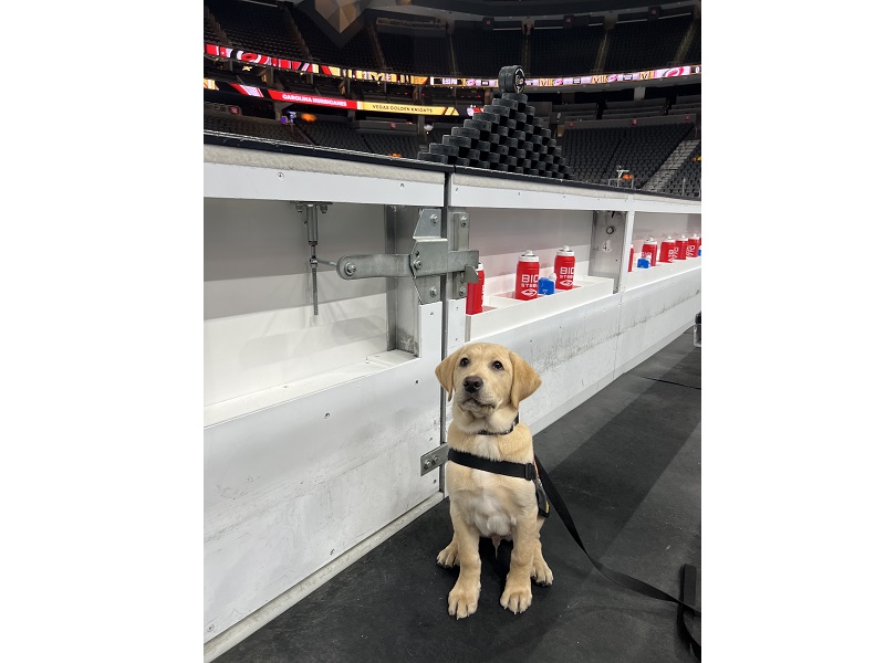UnCommons ANNOUNCES PARTNERSHIP WITH THE VEGAS GOLDEN KNIGHTS, SET TO HOST OFFICIAL WATCH PARTY WITH MAVERICK AND THE VEGAS VIVAS