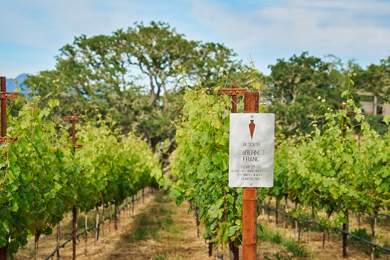 MONTAGE HEALDSBURG LAUNCHES PRIVATE WINE LABEL  IN PARTNERSHIP WITH RENOWNED WINEMAKER JESSE KATZ,  FOUNDER OF APERTURE CELLARS