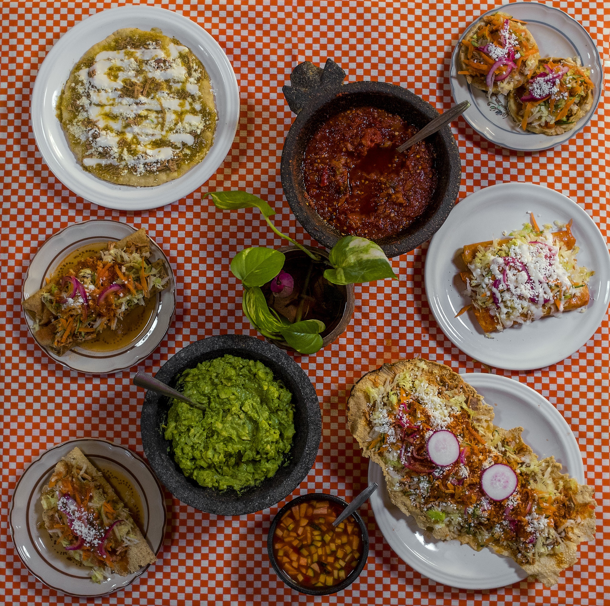 Exploring the Culinary Treasures of Nayarit, Mexico: A Quick Gastronomic Journey