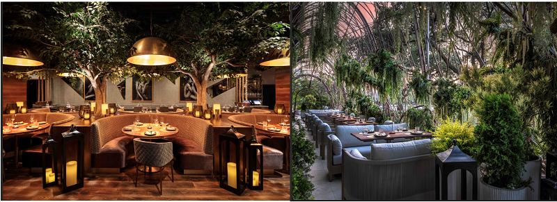 NOBLE 33 DEBUTS MODERN MEXICAN STEAKHOUSE TOCA MADERA IN HOUSTON