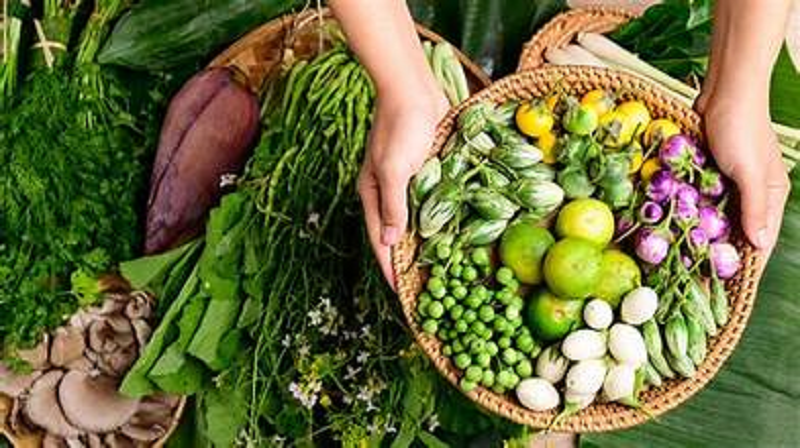 Nén Danang Awarded 2024 MICHELIN Green Star for Sustainability