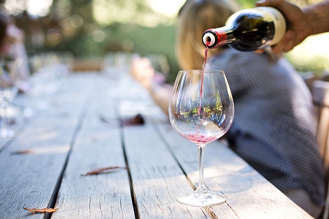 What Wine Sommeliers Suggest for Backyard Barbecues