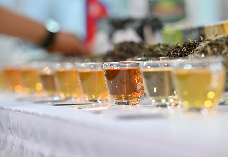 Submissions Now Open for Questex’s World Tea Expo Global Tea Championship 2025