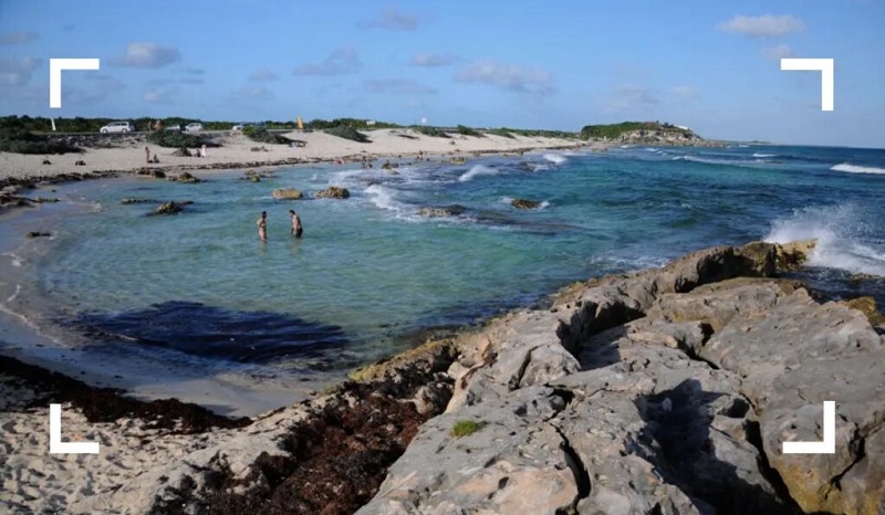 Hotels, Food, and More: Worst Mistakes When Visiting Cozumel and How to Avoid Them