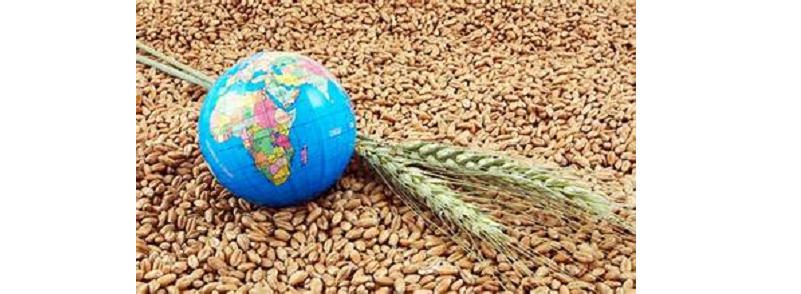 Global Food Week Opens Registration for the Largest International Gathering of Agricultural and Food Security Pioneers