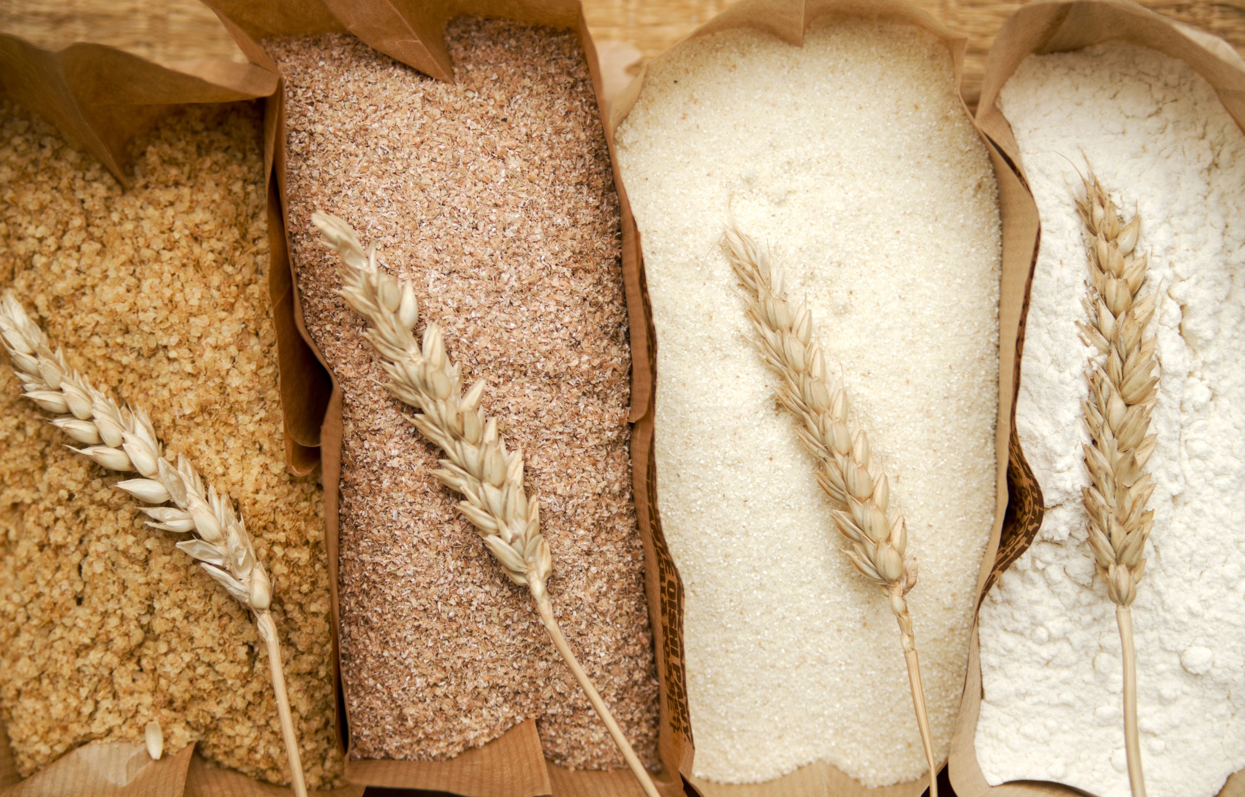 What Flours to Use: A Guide to Perfect Doughs & Batters