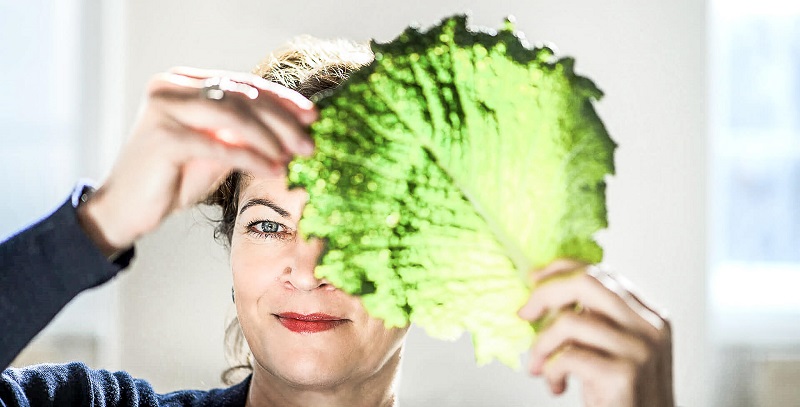 CHEFS & INDUSTRY PROS SHARE 2025 CULINARY TRENDS & PREDICTIONS