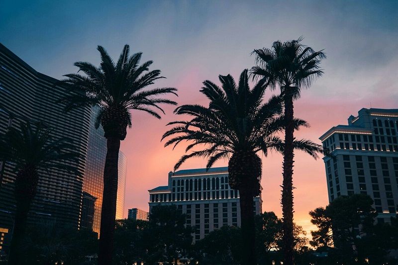 From Mobsters to Master Chefs – How Casinos Transformed the City into an Entertainment and Culinary Wonderland