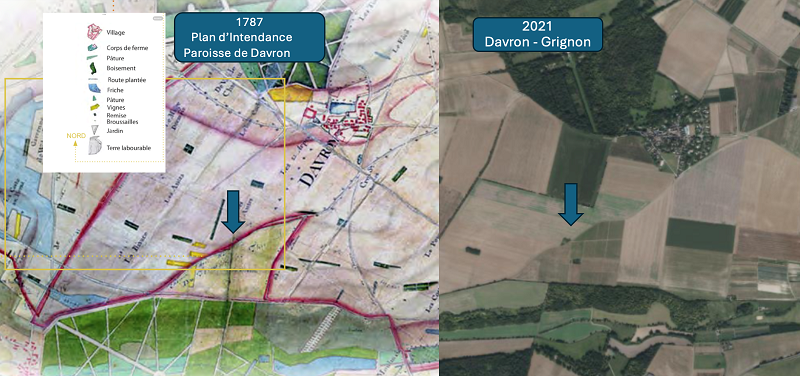 Unexpected Discovery Links Modern Versailles Vineyard to 18th-Century Winemaking Tradition