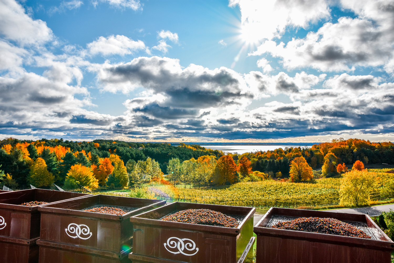 Discover the Romance of the Traverse Wine Coast