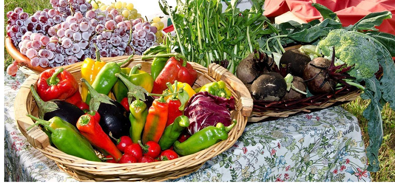 How Biodynamic Farming Methods are Shaping Food Industry Trends