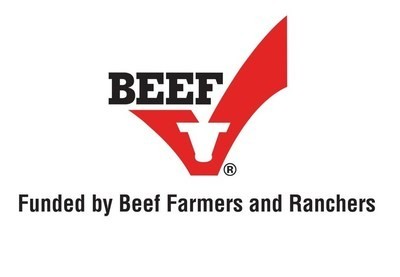 beef
