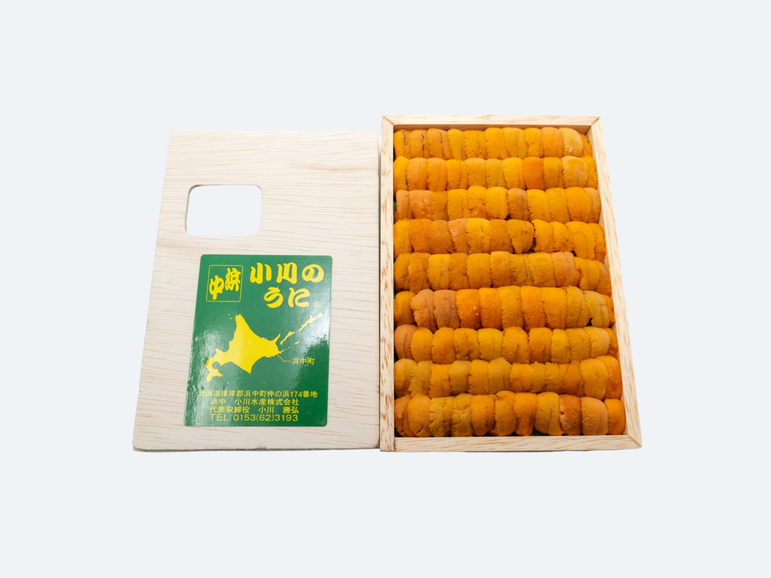 A_Hokkaido_Uni_Jou - Copy
